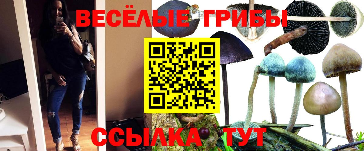 Псилоцибиновые грибы Magic Shrooms Электросталь